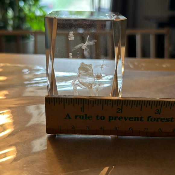 Encased Etched Glass Frog and Dragonfly Crystal w/glass base - Picture 6 of 9